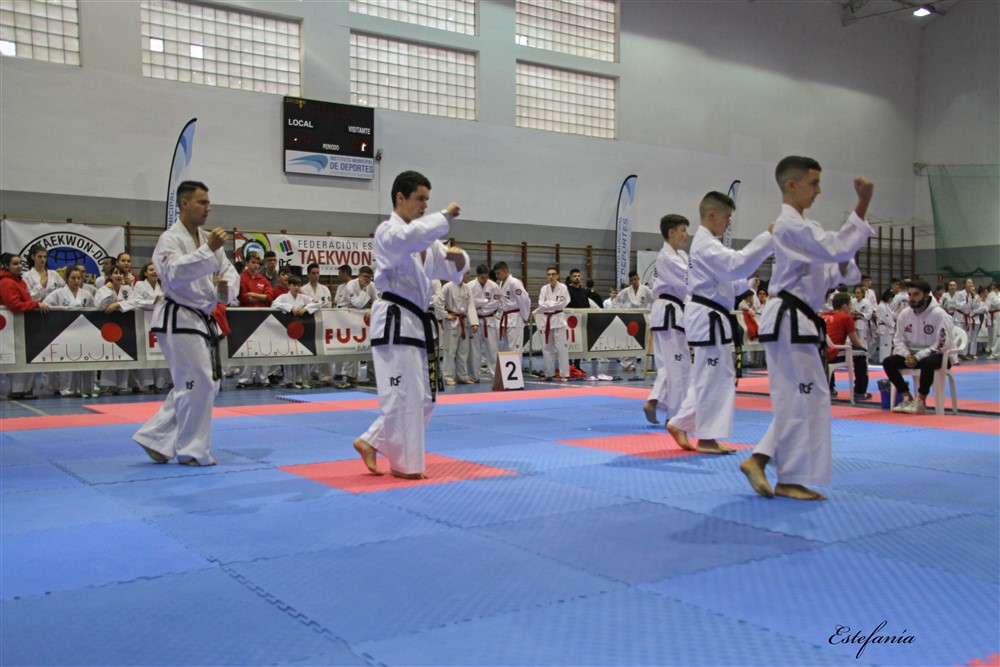 Copa Seul 2018 (323).jpg